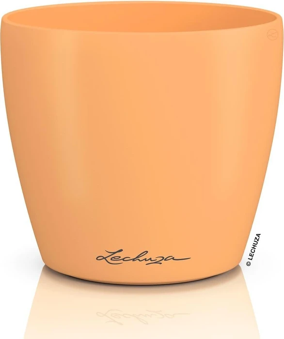 Lechuza Classico Color Deco 12