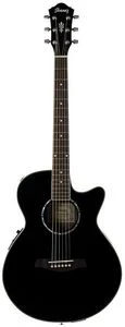 Ibanez AEG10E
