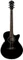 Ibanez AEG10E Vorschaubild