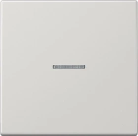 Jung Serie LS Wippe mit Lichtleiter 1fach, lichtgrau