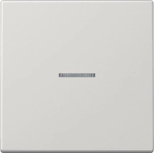 Jung Serie LS Wippe mit Lichtleiter 1fach, lichtgrau