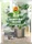 Compo Bio Granuplant Drainage- und Pflanzgranulat, 6l (28818)