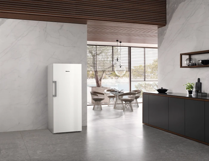 Miele FN 4748 C
