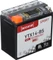 Accurat Sport GEL LCD YTX14-BS Vorschaubild
