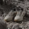 adidas Terrex AX4 wonder beige/carbon/pure ruby (Herren) Vorschaubild