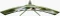 Arozzi Nova 49TUW165, Forest Green, 49" Vorschaubild