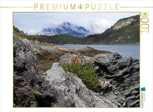 Calvendo Tierra del Fuego - Große Feuerlandinsel/Argentinien