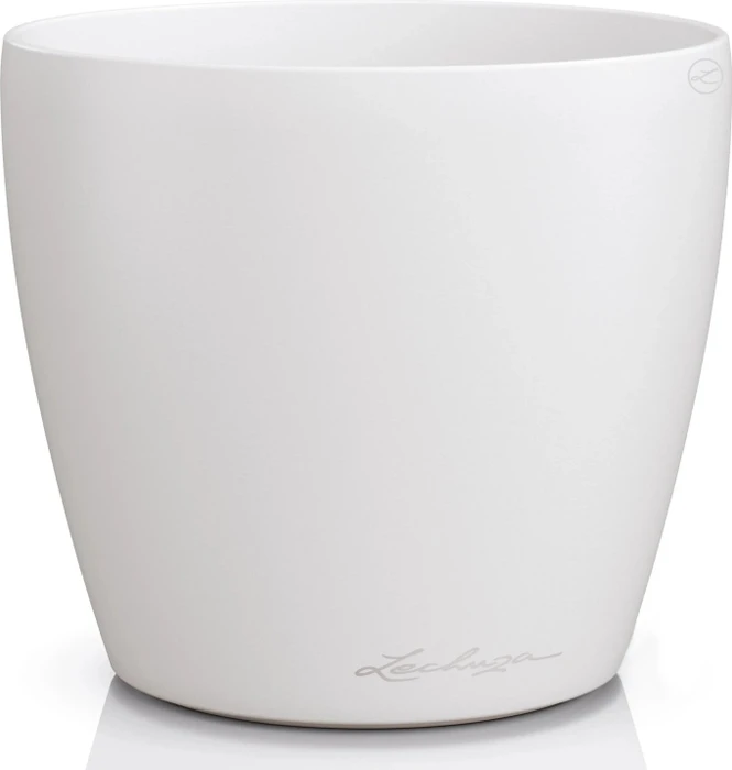 Lechuza Classico Color Deco 14