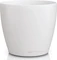 Lechuza Classico Color Deco 14 Vorschaubild