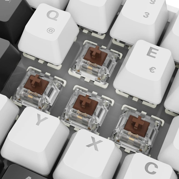 Sharkoon Skiller SGK50 S4 Gen2, White, LEDs RGB, hot-swap, Gateron BROWN, USB, DE