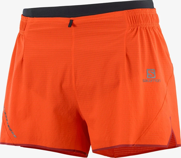 Salomon Sense Aero 3 Hose kurz (Herren)