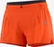 Salomon Sense Aero 3 Hose kurz (Herren) Vorschaubild