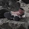 adidas Eastrail 2.0 Mid Rain.RDY warm clay/putty mauve/preloved fig (Damen) Vorschaubild