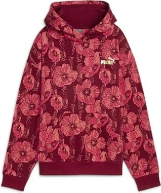 Puma ESS+ Class Act Graphic Hoodie intense red (Damen)