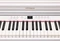 Roland RP701 weiß matt Vorschaubild