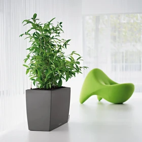 Lechuza Cararo anthrazit metallic