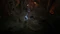 Diablo IV (PS4) Vorschaubild