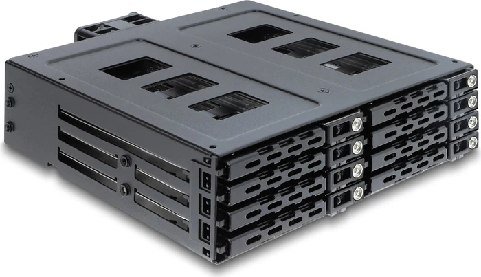 DeLOCK 5.25" Wechselrahmen, 8x 2.5" SATA/SAS