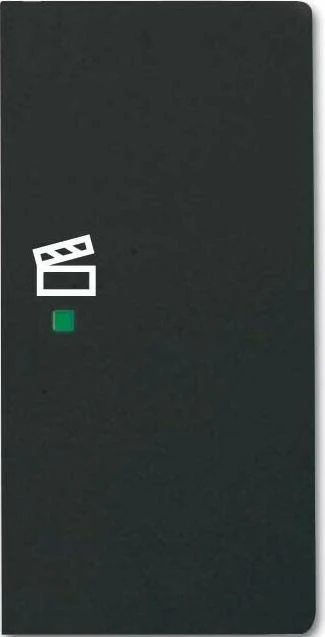 Busch-Jaeger Wippe 2-fach mit Symbol "Szene", schwarz matt
