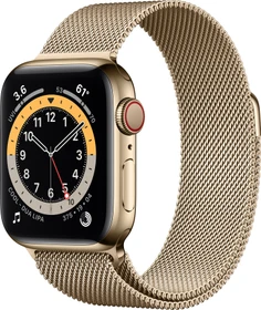 Apple Watch Series 6 (GPS + Cellular) 40mm Edelstahl gold mit Milanaise-Armband gold