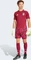 adidas Italien Heim 2026 Torwarttrikot kurzarm (Herren) Vorschaubild