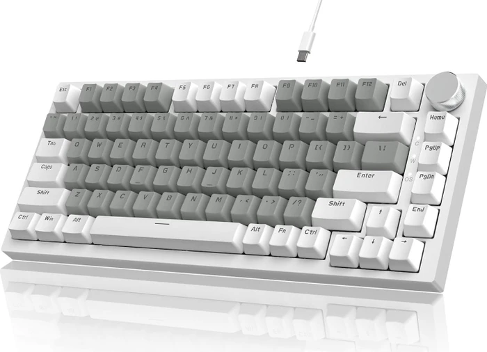 Ajazz AK820, White & Grey, LEDs weiß, hot-swap, AS RED, USB, US