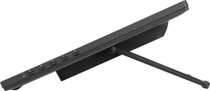 iiyama ProLite T2455MSC-B1, 23.8"