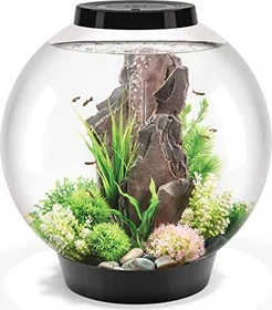Oase biOrb Classic 60 LED Aquarium-Set, schwarz, 60l
