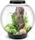 Oase biOrb Classic 60 LED Aquarium-Set, schwarz, 60l (72011)