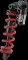 RockShox Vivid Ultimate RC2T Dämpfer Modell 2024 Vorschaubild