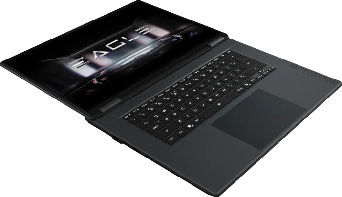 GIGABYTE GIGABYTE EAGLE 9MJ, Space Gray, Ryzen 5 7533HS, 16GB RAM, 512GB SSD, GeForce RTX 4050, DE