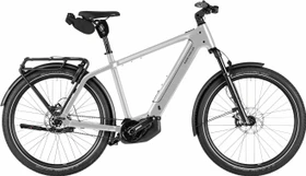 Riese und Müller Charger5 pinion magnesium
