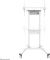 Neomounts FL55-875WH1 Vorschaubild