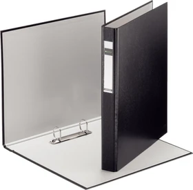 Leitz Standard Ringbuch 2-Ring, 40mm, A4, schwarz