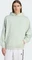 adidas Premium Essentials Hoodie linen green (Herren) Vorschaubild