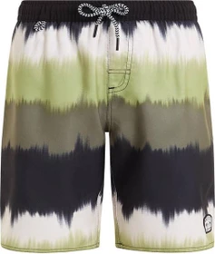 Protest City Badeshorts artichoke green (Junior)