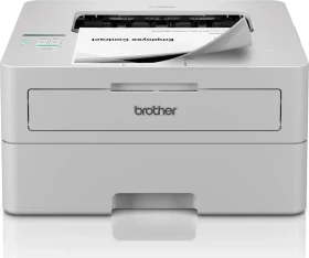 Brother HL-L2865DW, Laser, einfarbig