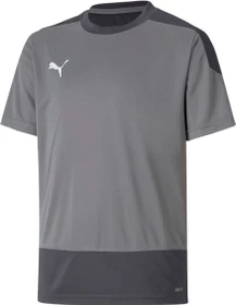 Puma teamGOAL 23 Funktionsshirt kurzarm grau (Junior)