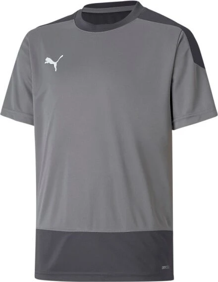 Puma teamGOAL 23 Funktionsshirt kurzarm grau (Junior)