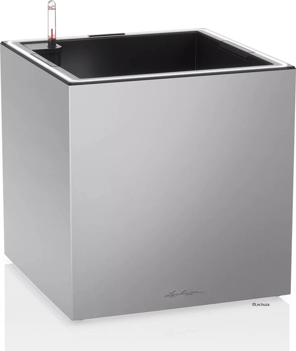Lechuza Canto Premium