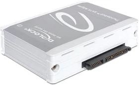 DeLOCK Thunderbolt 1 -> SATA