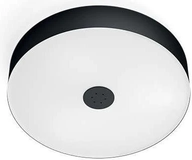 Philips Hue White Ambiance Fair schwarz