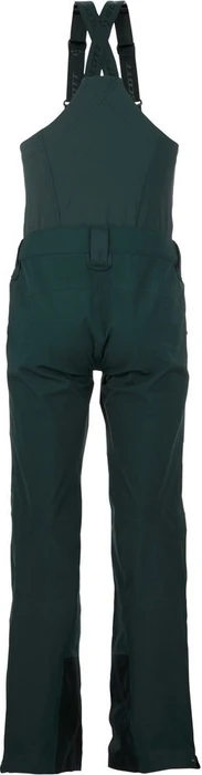 Scott Vertic 3L Skihose lang tree green (Damen)