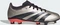 adidas Predator League FG platinum metallic/aurora black/turbo (Junior) Vorschaubild