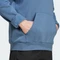 adidas Terrex Multi Large Logo Hoodie wonder steel (Herren) Vorschaubild
