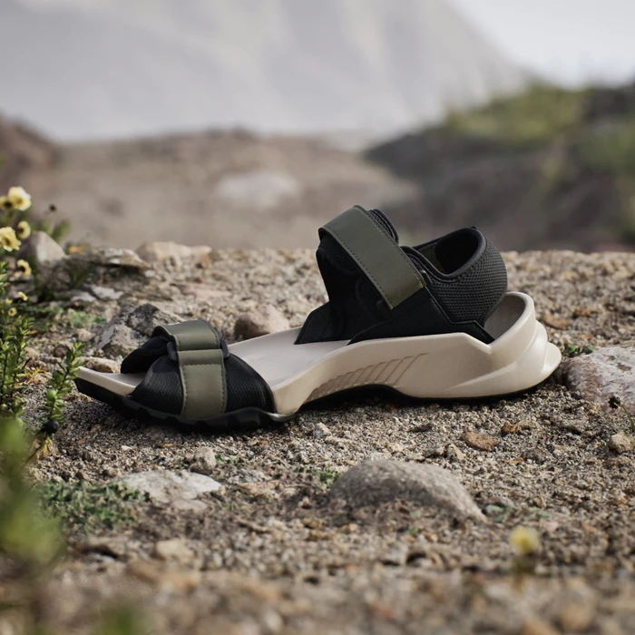adidas Terrex Hydroterra olive strata/core black/wonder beige