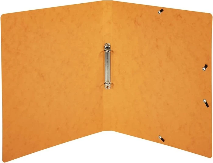 Exacompta Ringbuch 2-Ring, 20mm, A4, orange