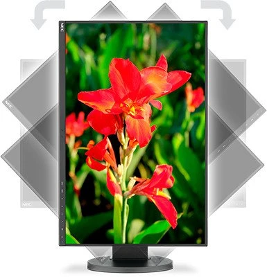 NEC MultiSync EA245WMi-BK, schwarz, 24"