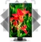 NEC MultiSync EA245WMi-BK, schwarz, 24" Vorschaubild