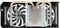 MSI GeForce GTX 560, N560GTX-M2D1GD5, 1GB GDDR5, 2x DVI, Mini HDMI Vorschaubild